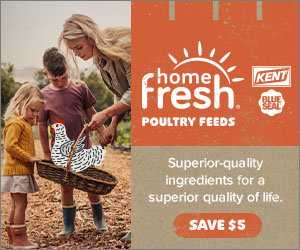 Special advertising offer